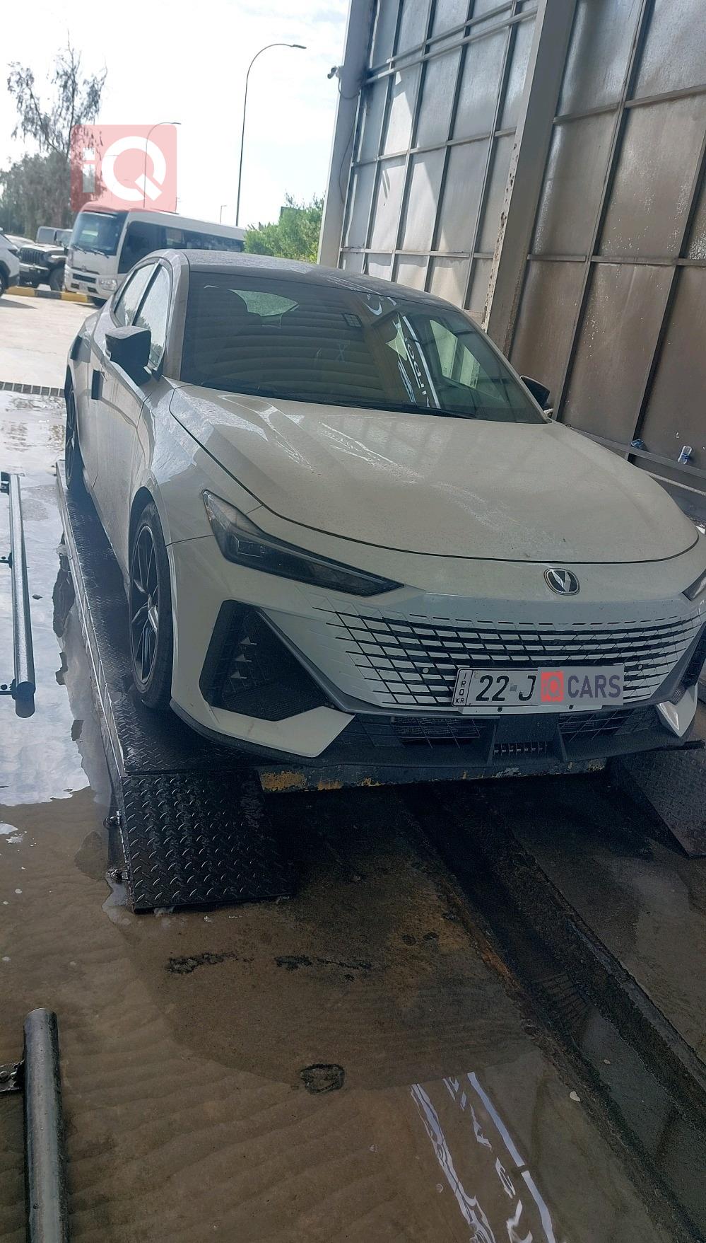 شانجان يوني في